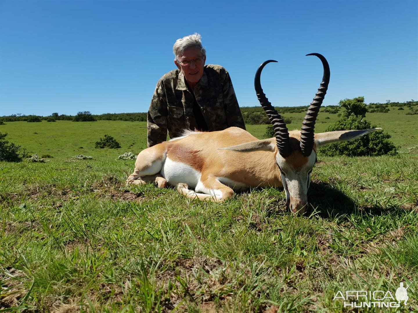 Hunt Springbok in South Africa