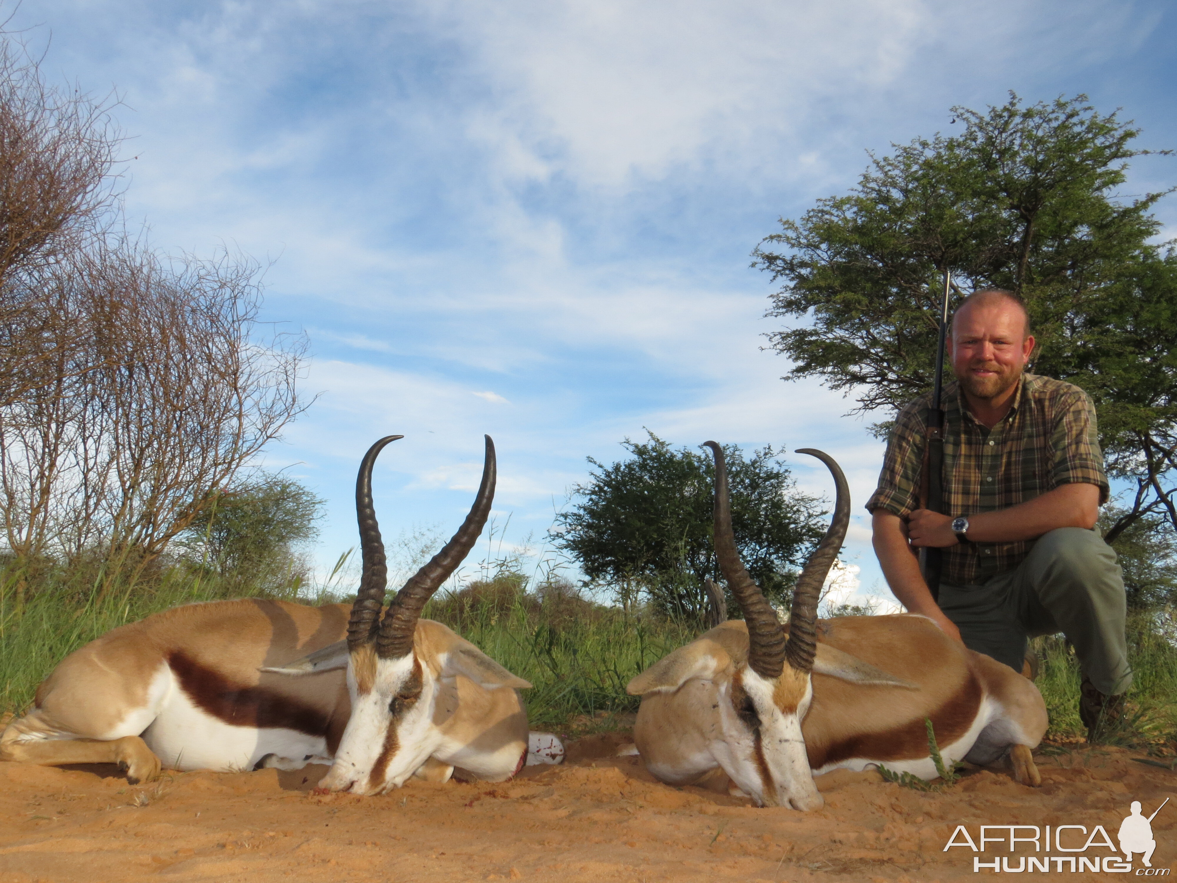 Hunt Springbok In South Africa