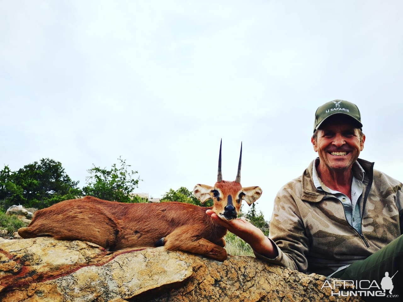 Hunt Steenbok in South Africa