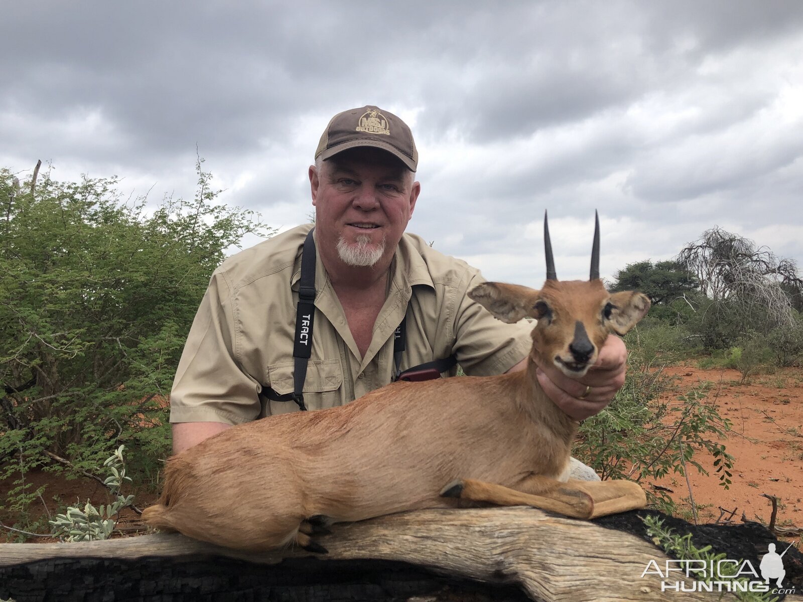 Hunt Steenbok in South Africa