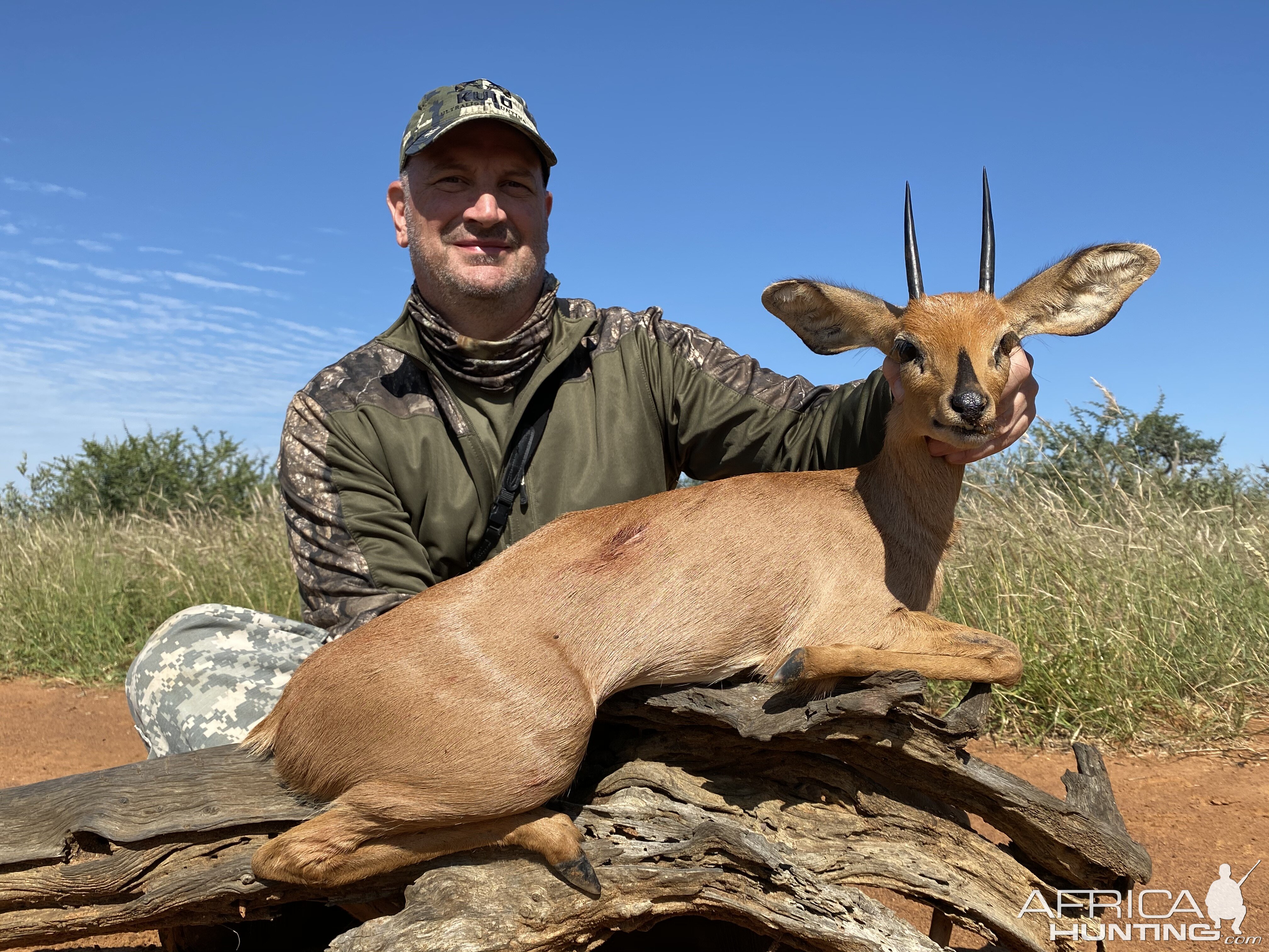 Hunt Steenbok in South Africa