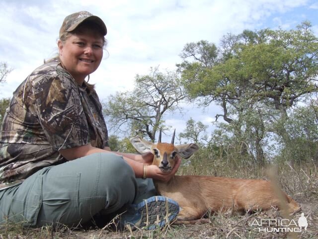 Hunt Steenbok