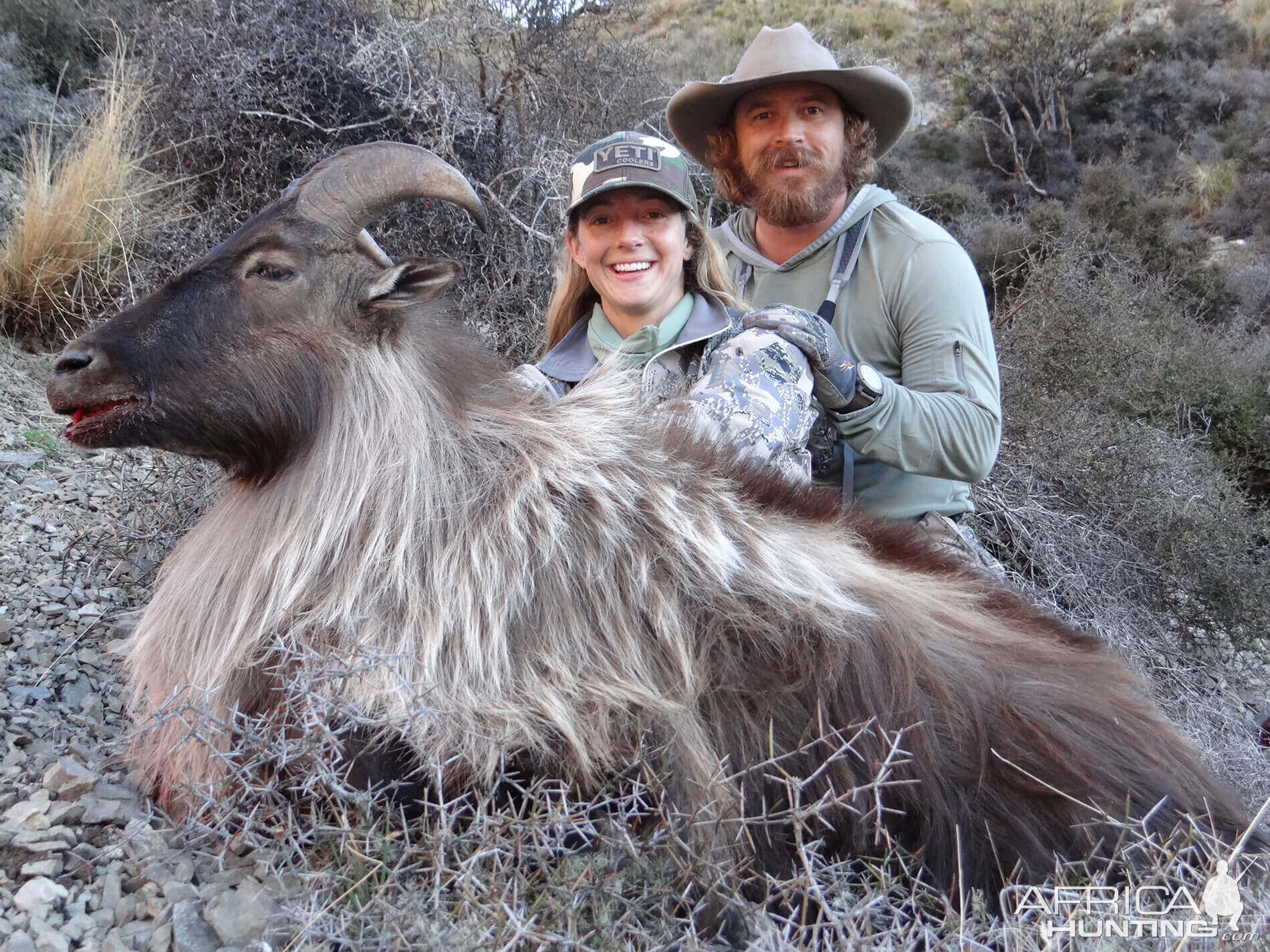 Hunt Tahr in New Zealand