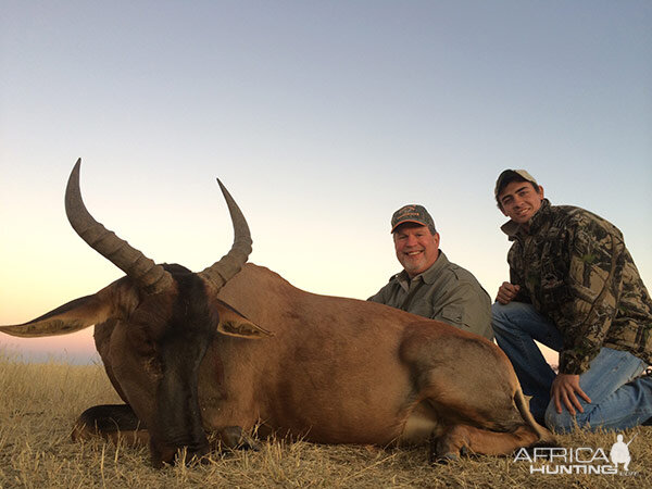 Hunt Tsessebe in South Africa