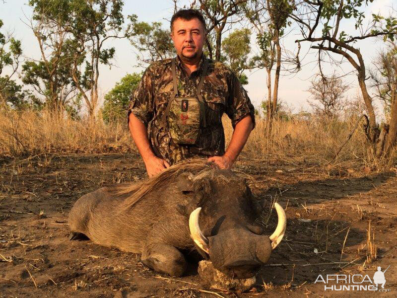 Hunt Warthog in Mozambique