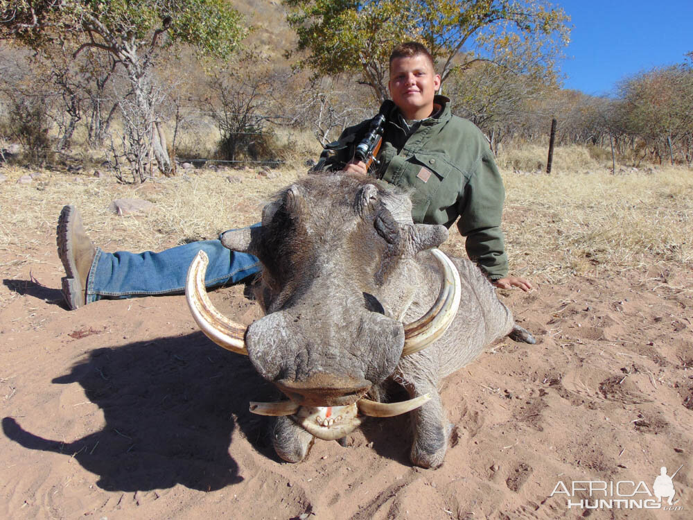 Hunt Warthog in Namibia | AfricaHunting.com