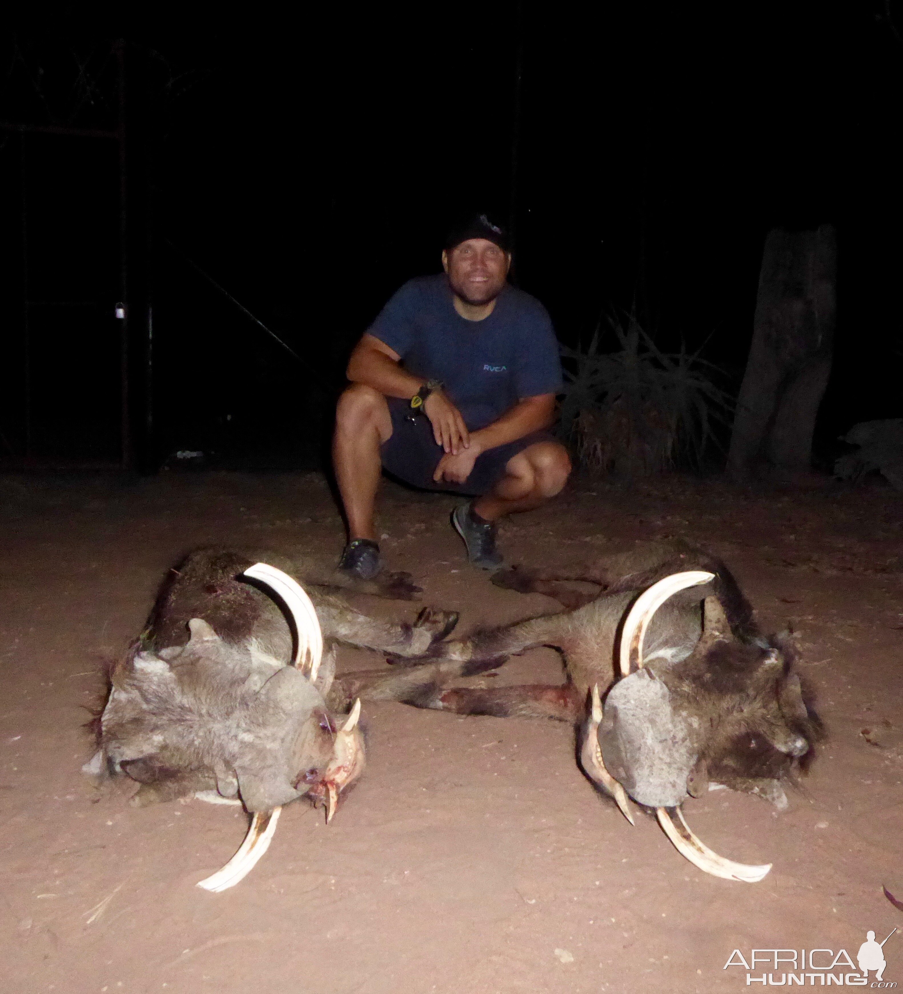 Hunt Warthog in South Africa