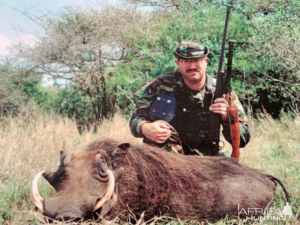 Hunt Warthog in South Africa