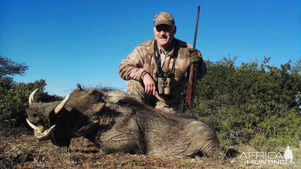 Hunt Warthog in South Africa