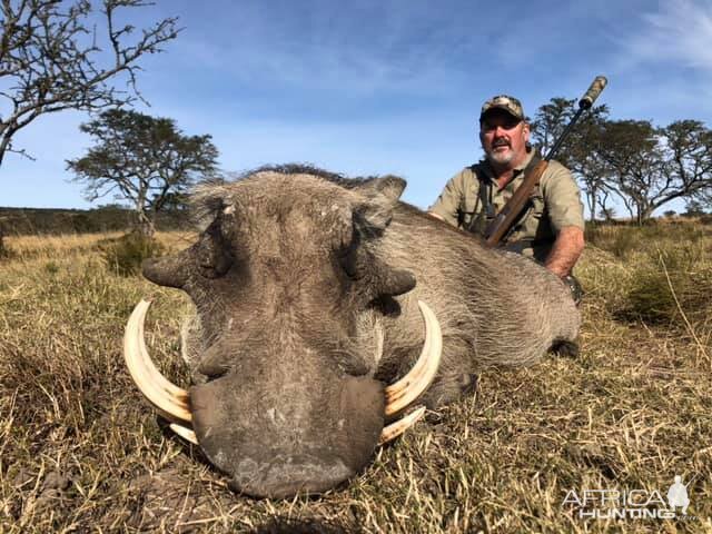 Hunt Warthog in South Africa