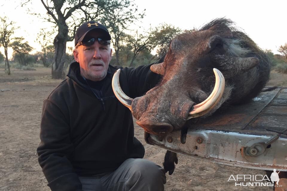 Hunt Warthog in South Africa