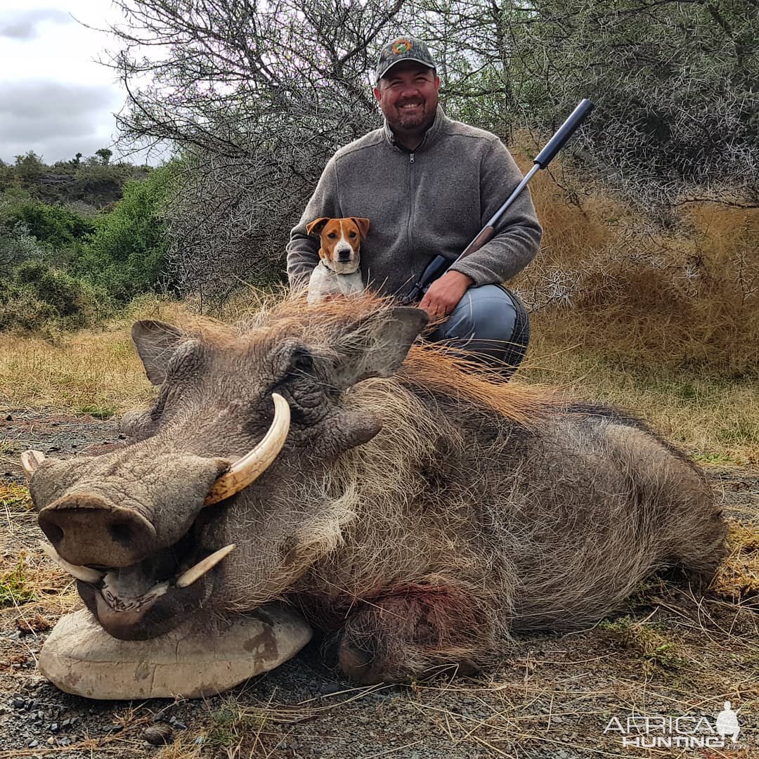 Hunt Warthog South Africa