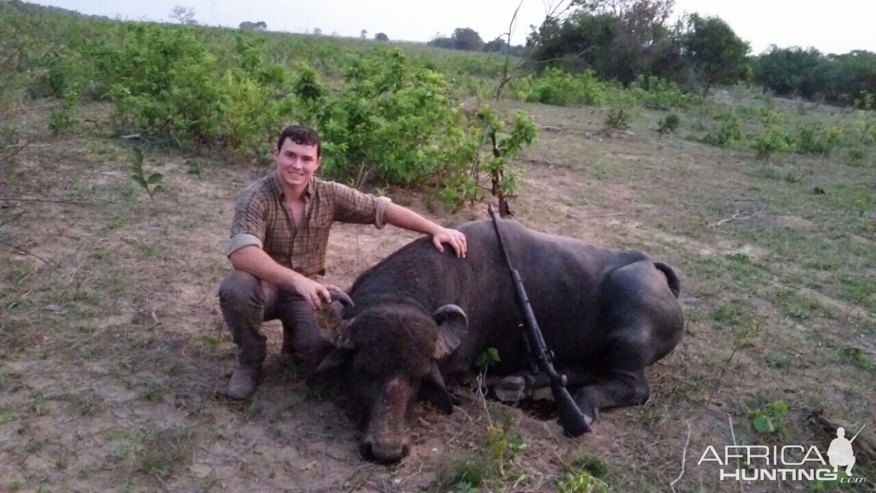 Hunt Water Buffalo in Argentina