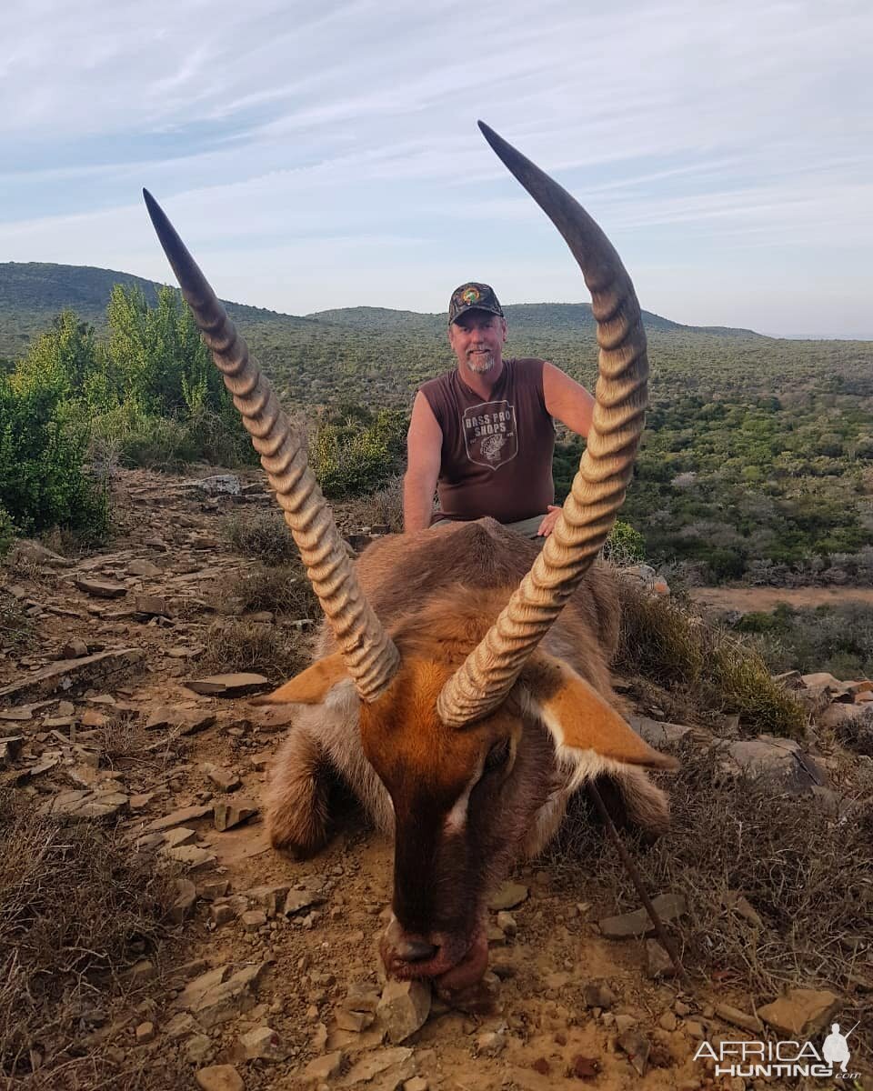 Hunt Waterbuck in South Africa