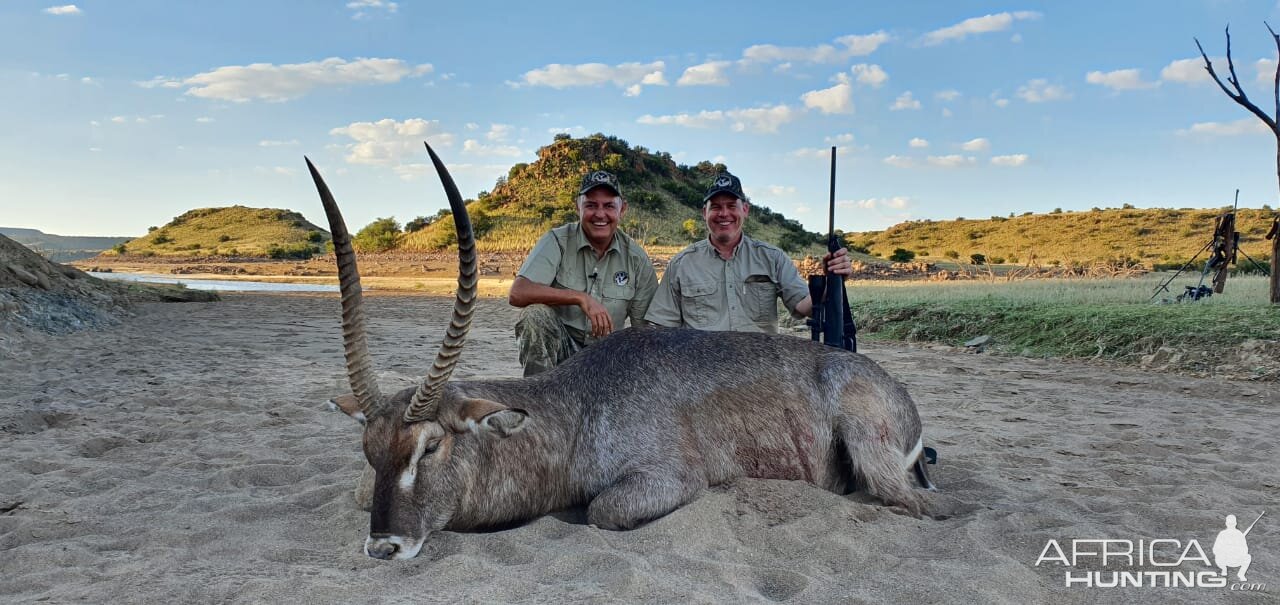 Hunt Waterbuck in South Africa