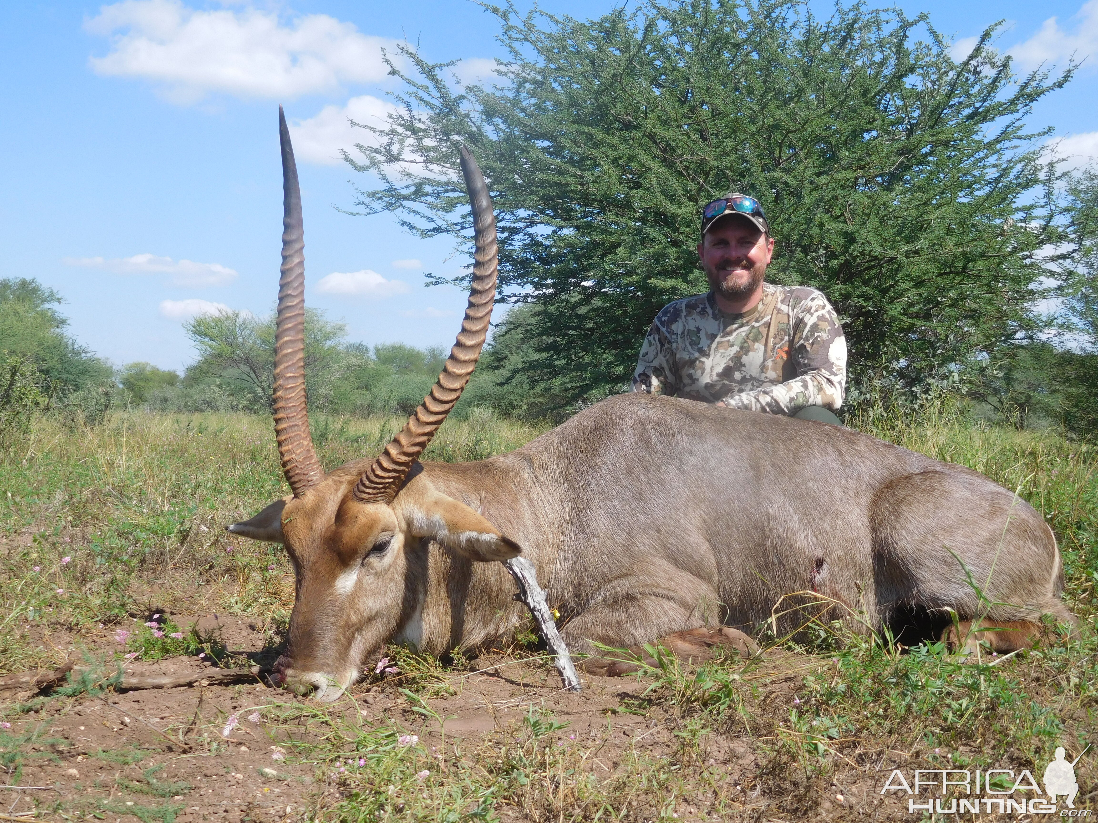 Hunt Waterbuck in South Africa