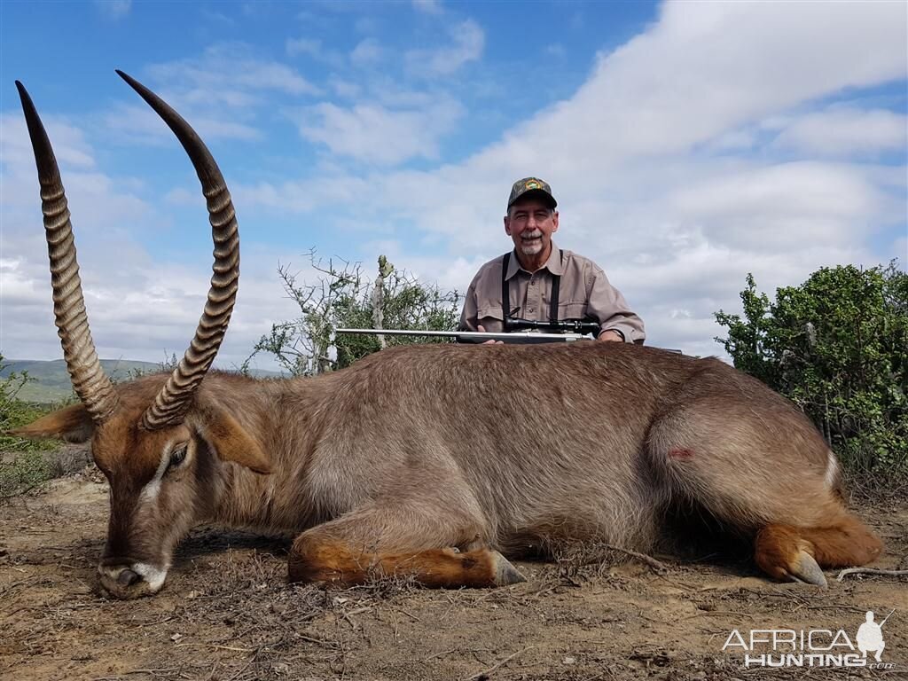 Hunt Waterbuck South Africa