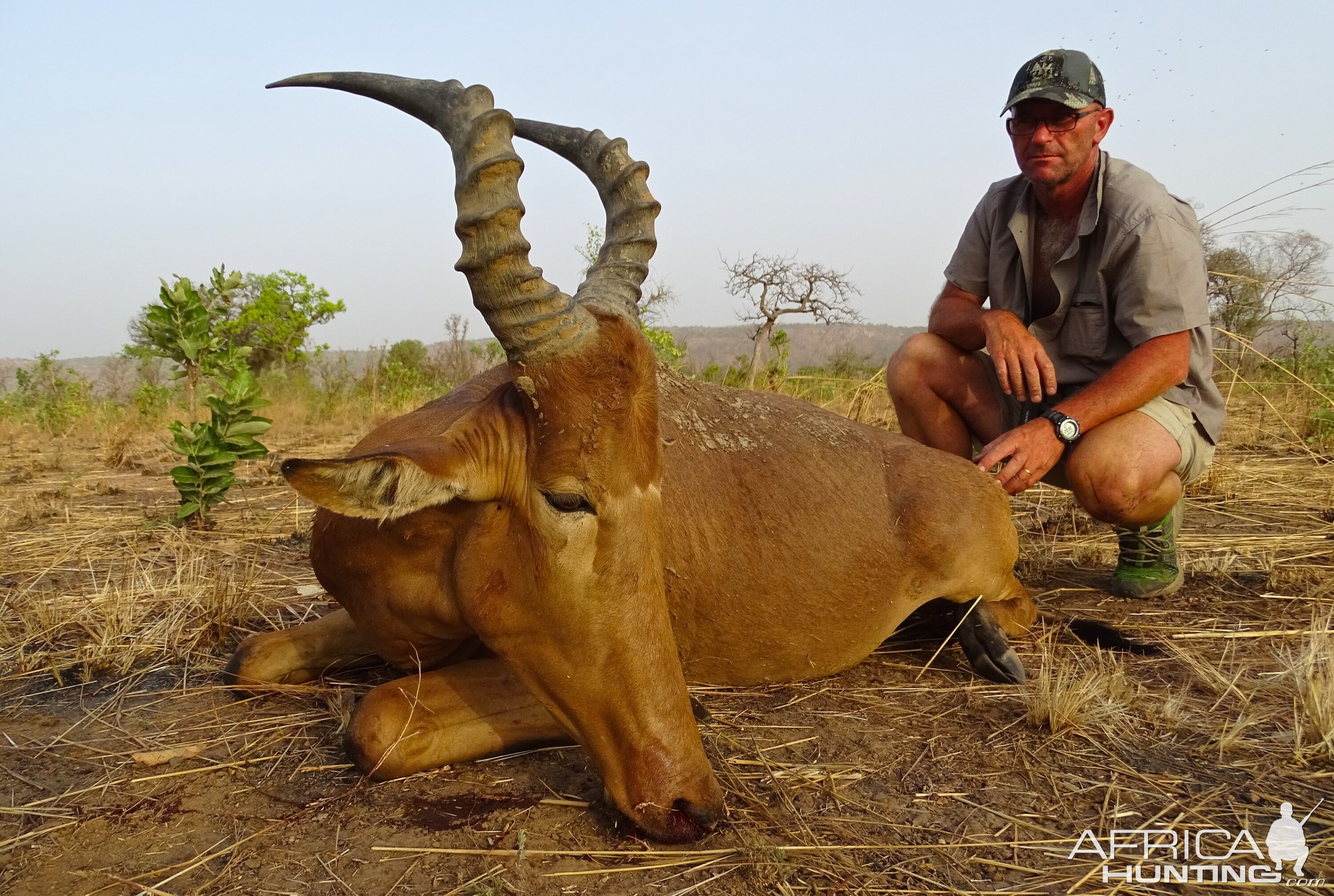 Hunt Western Hartebeest Benin