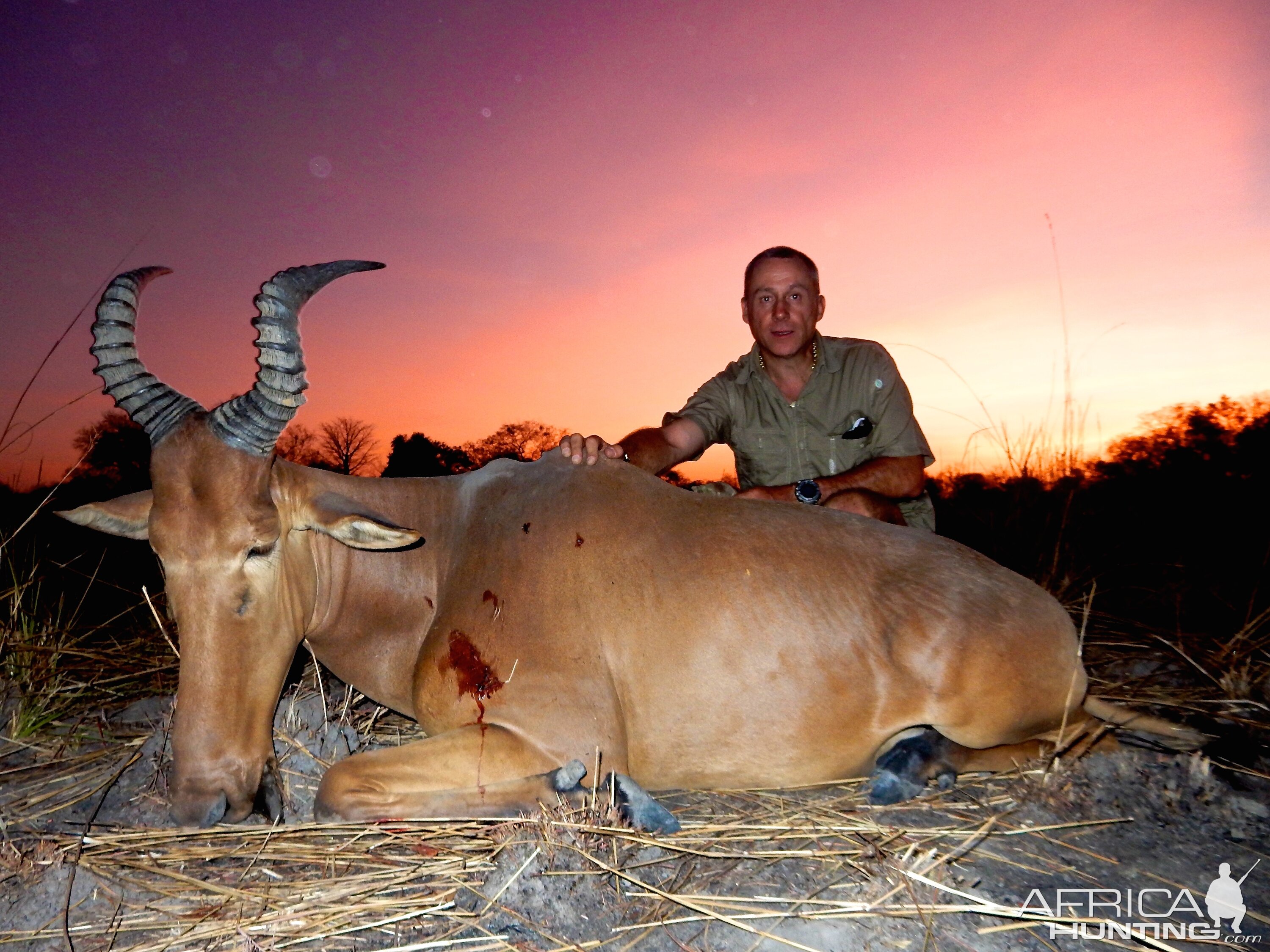 Hunt Western Hartebeest Benin