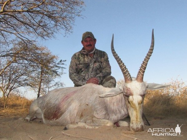 Hunt White Blesbok in South Africa