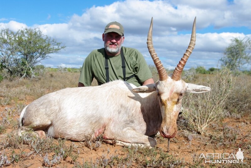 Hunt White Blesbok South Africa