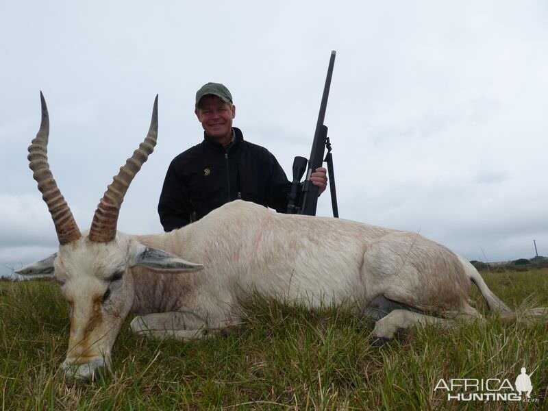 Hunt White Blesbok South Africa