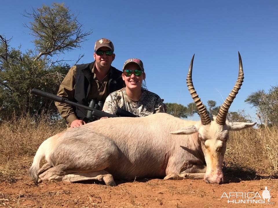 Hunt White Blesbok South Africa