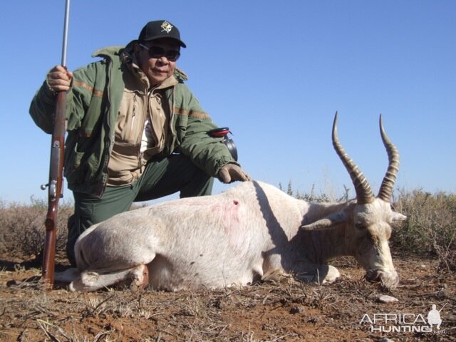 Hunt White Blesbok South Africa