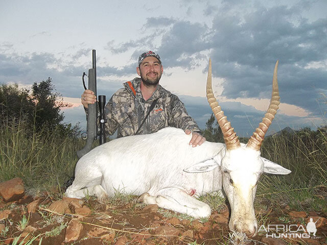 Hunt White Blesbok