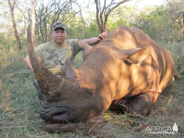 Hunt White Rhino South Africa