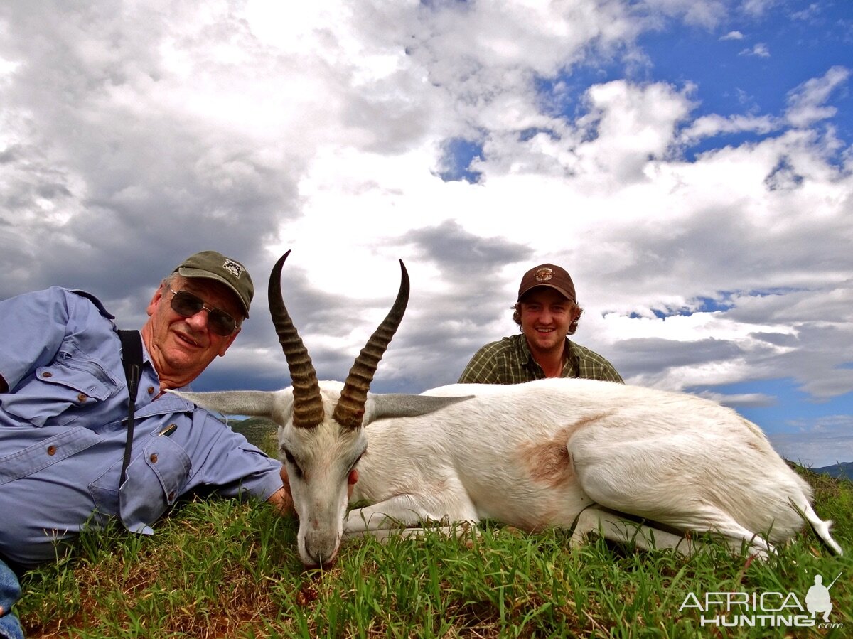 Hunt White Springbok