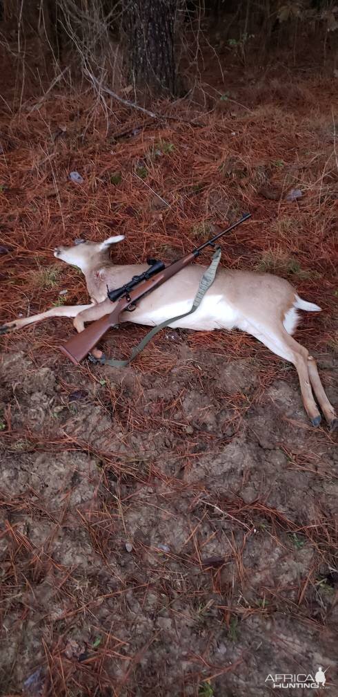 Hunt White-tailed Doe