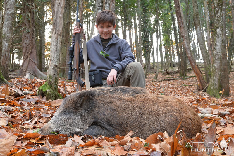 Hunt Wild Boar France