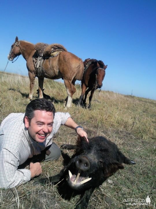 Hunt Wild Boar in Argentina