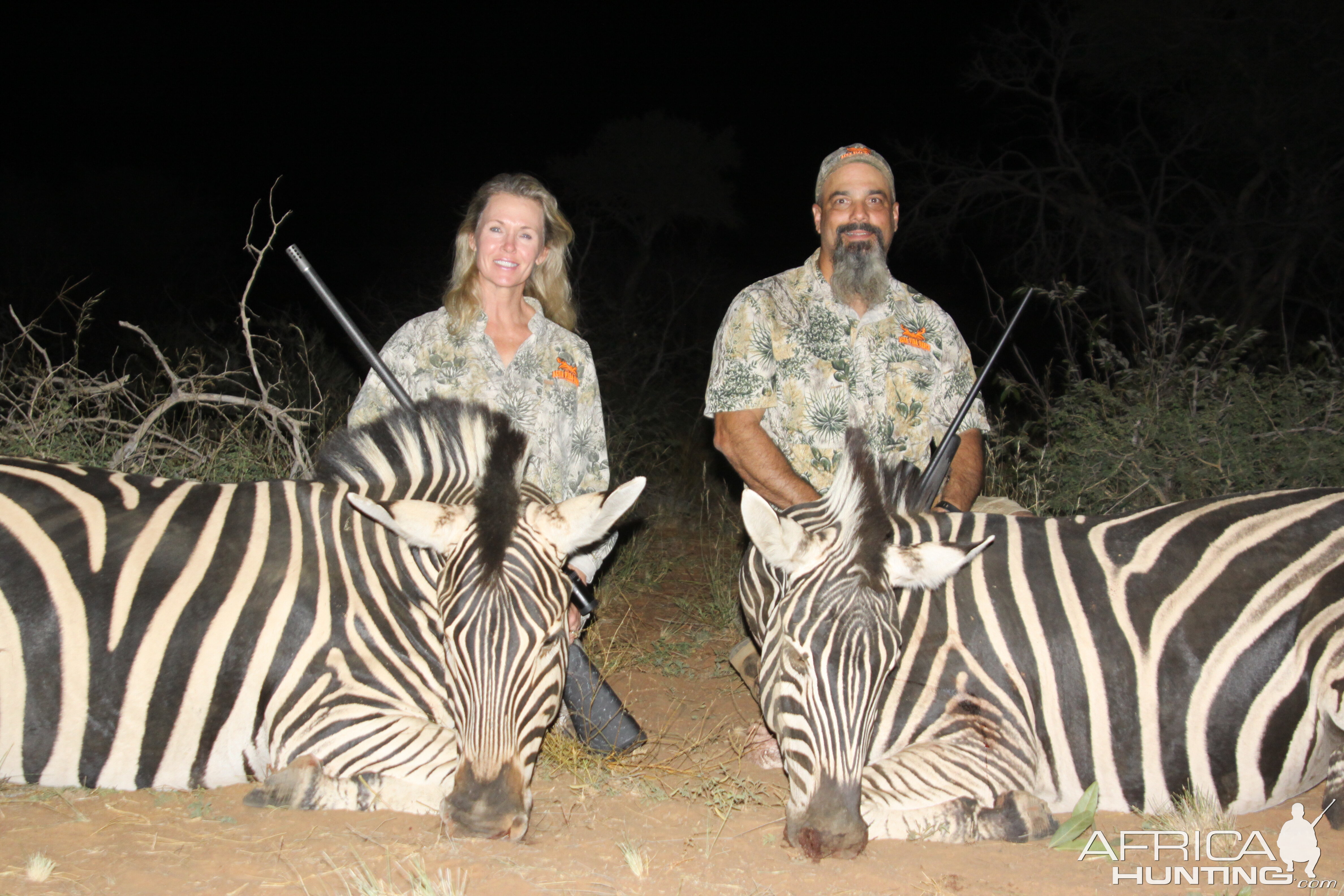 Hunt Zebra in South Africa