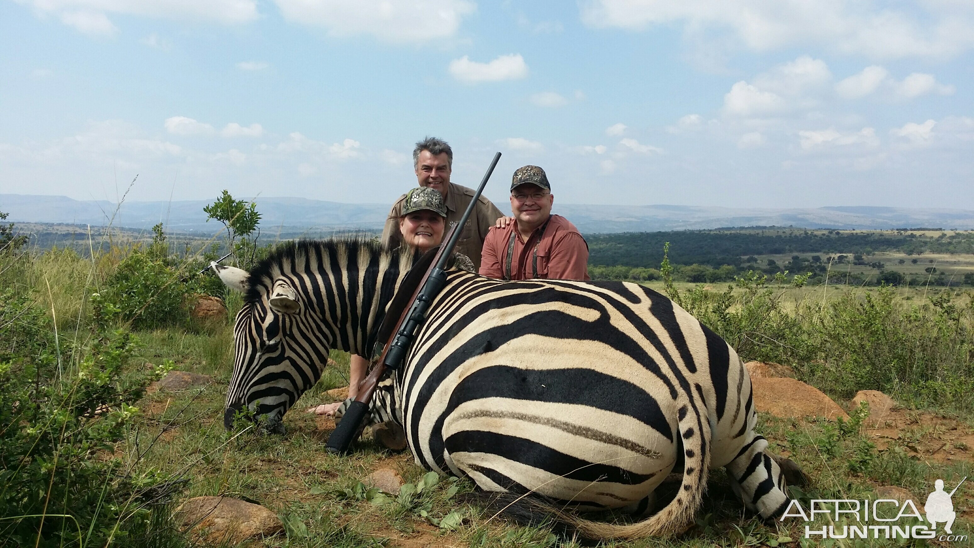 Hunt Zebra in South Africa