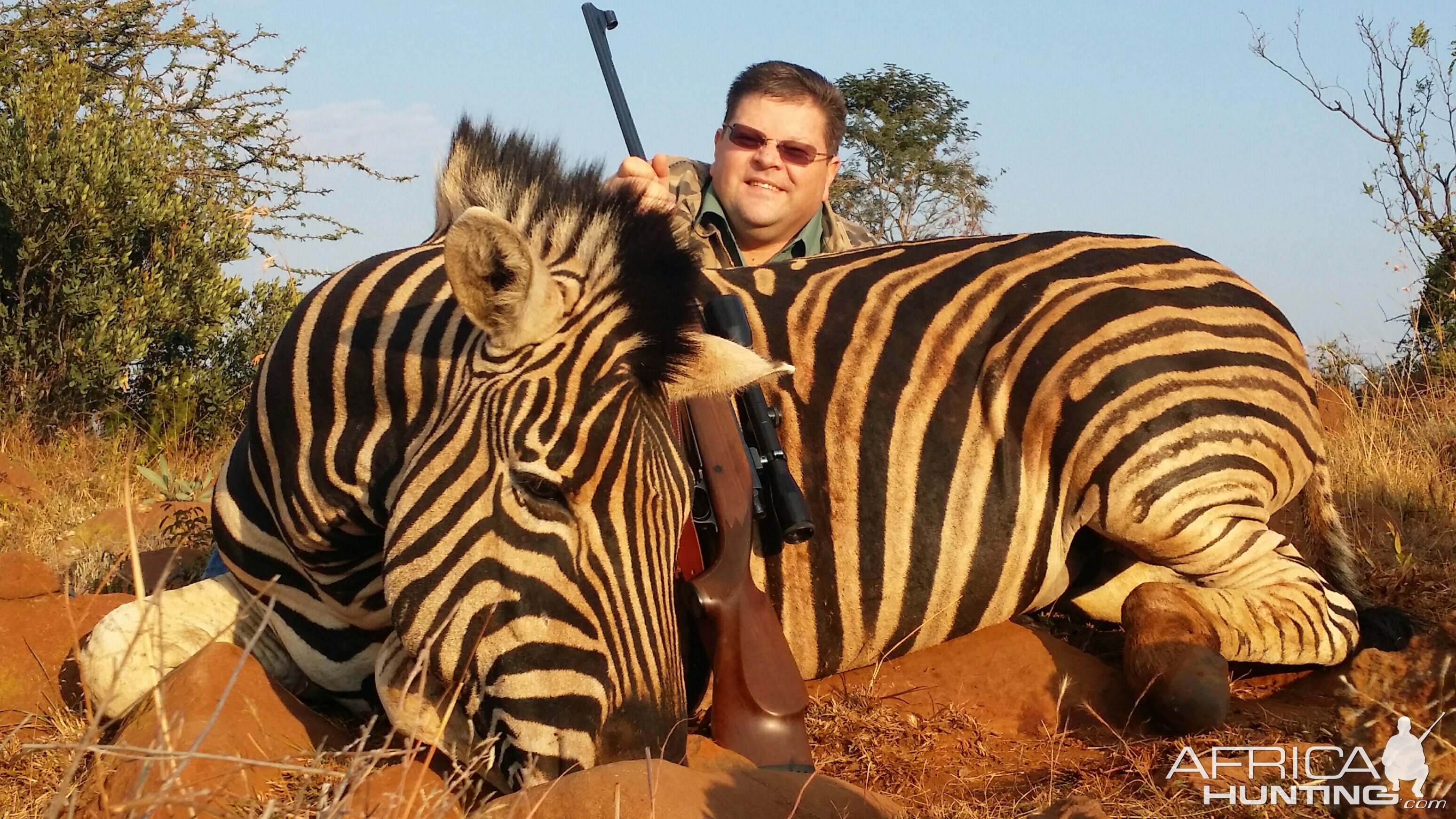 Hunt Zebra in South Africa