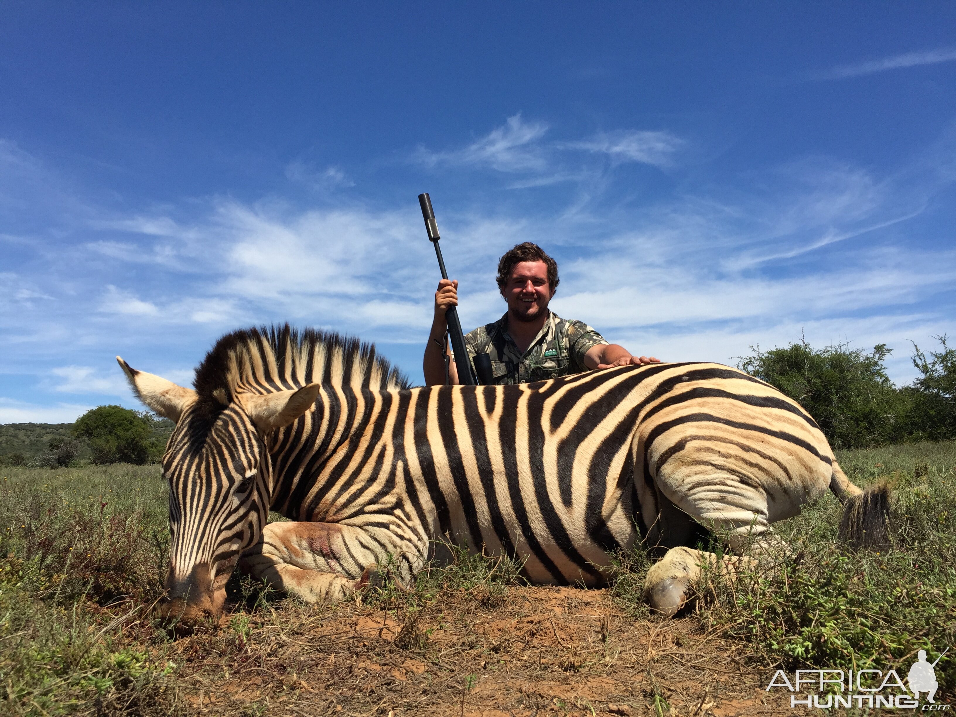 Hunt Zebra in South Africa