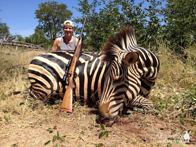 Hunt Zebra in Zimbabwe