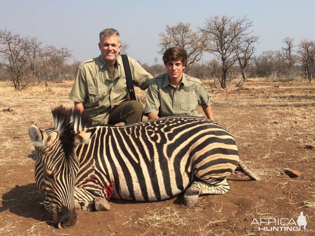 Hunt Zebra in Zimbabwe