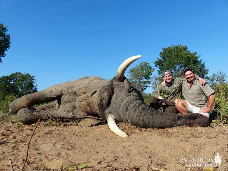 Hunt Zimbabwe Elephant | AfricaHunting.com