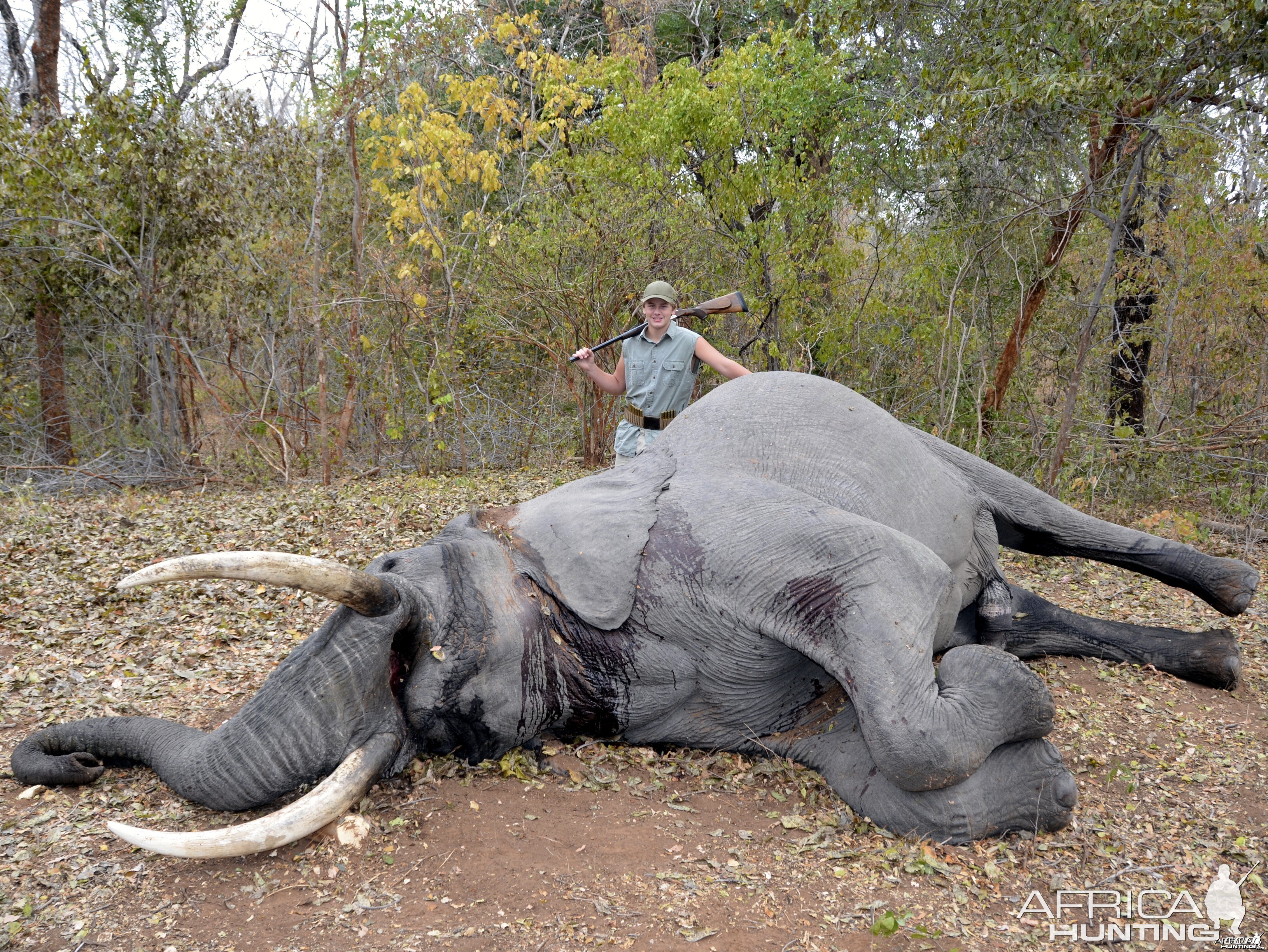 Hunter's Elephant