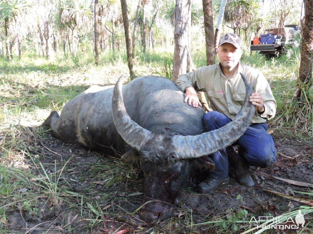 Hunting 108" Inch Asiatic Water Buffalo in Australia