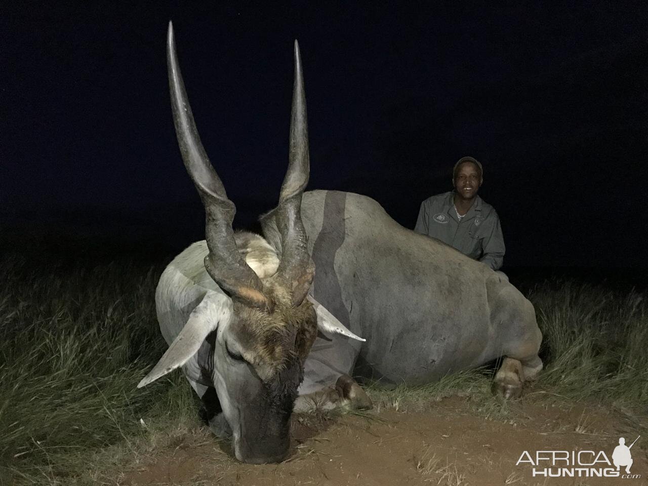 Hunting 37" Inch Eland in South Africa