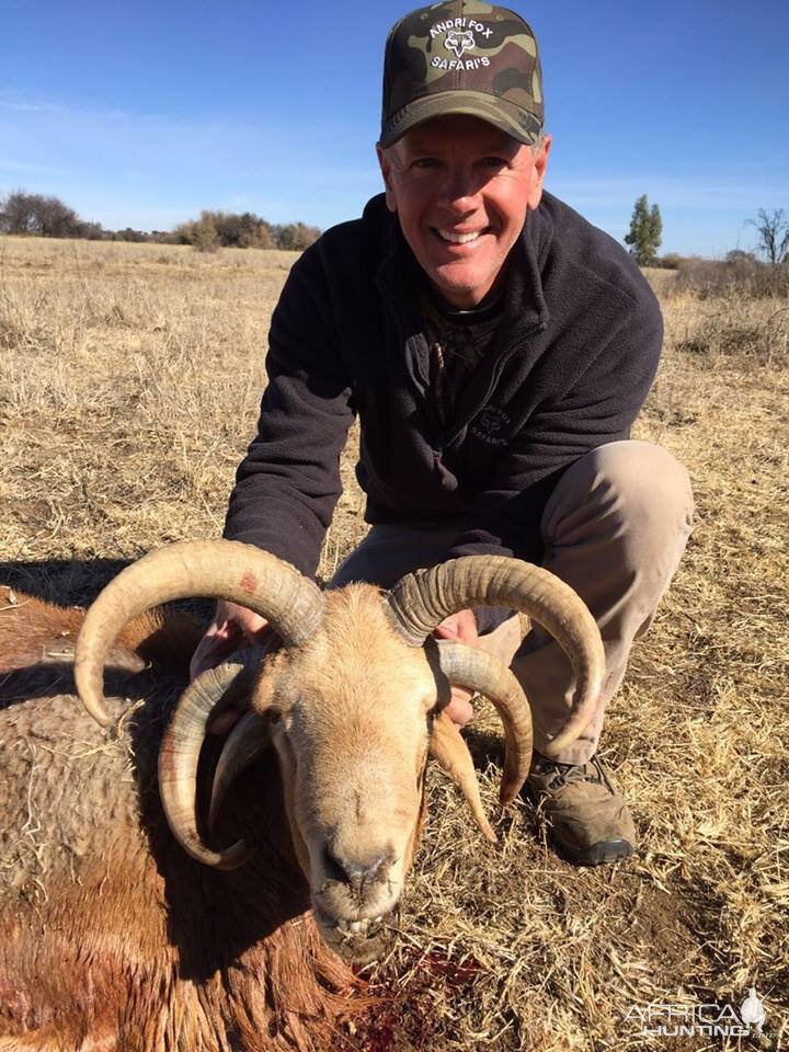 Hunting 4 Horn Sheep in South Africa