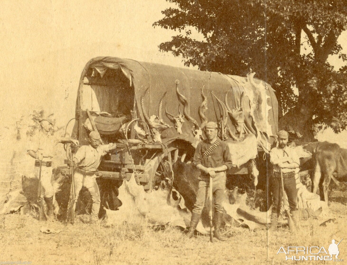 Hunting Africa Circa 1880