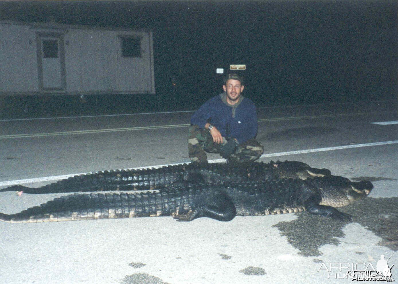 Hunting Alligators