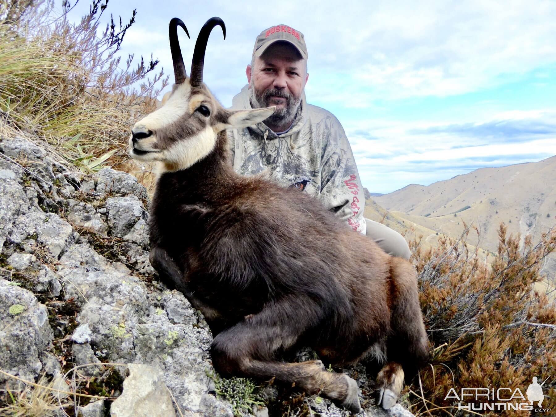 Hunting  Alpine Chamois in New Zealand