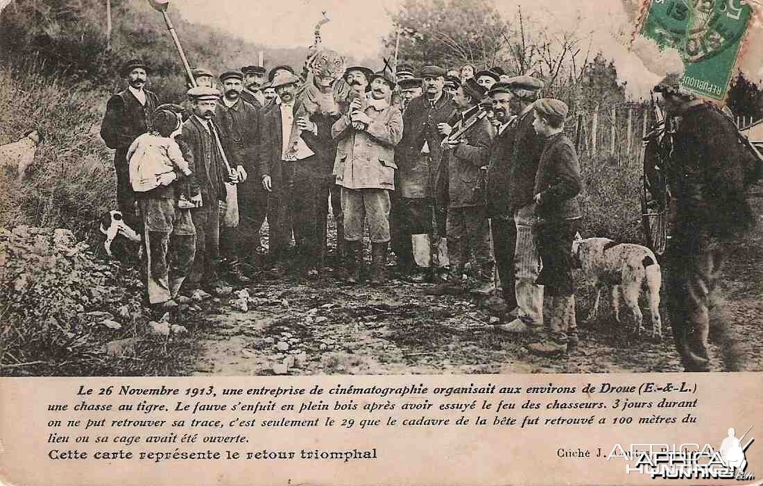 Hunting an escaped Tiger in France