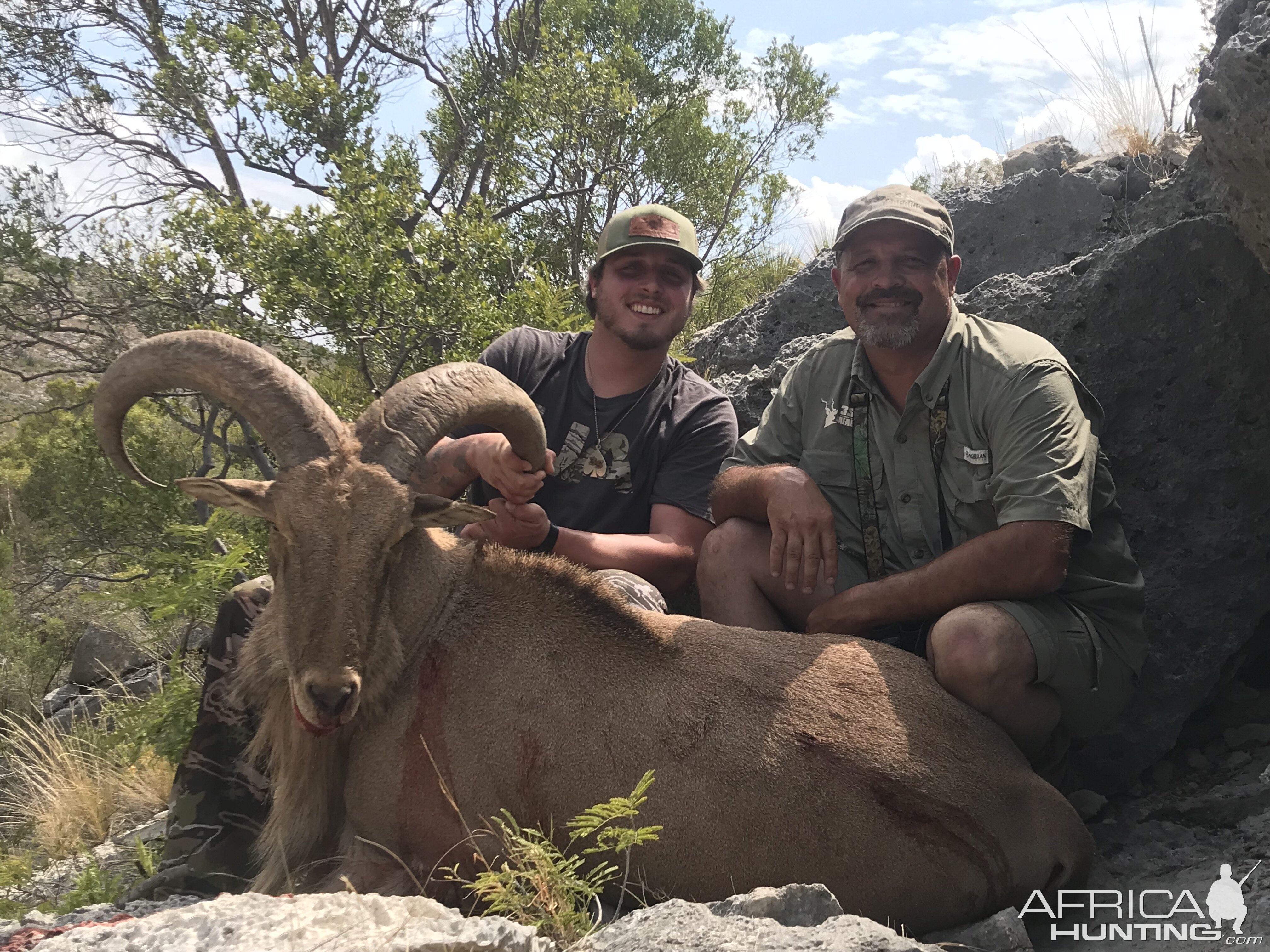 Hunting Aoudad in Texas